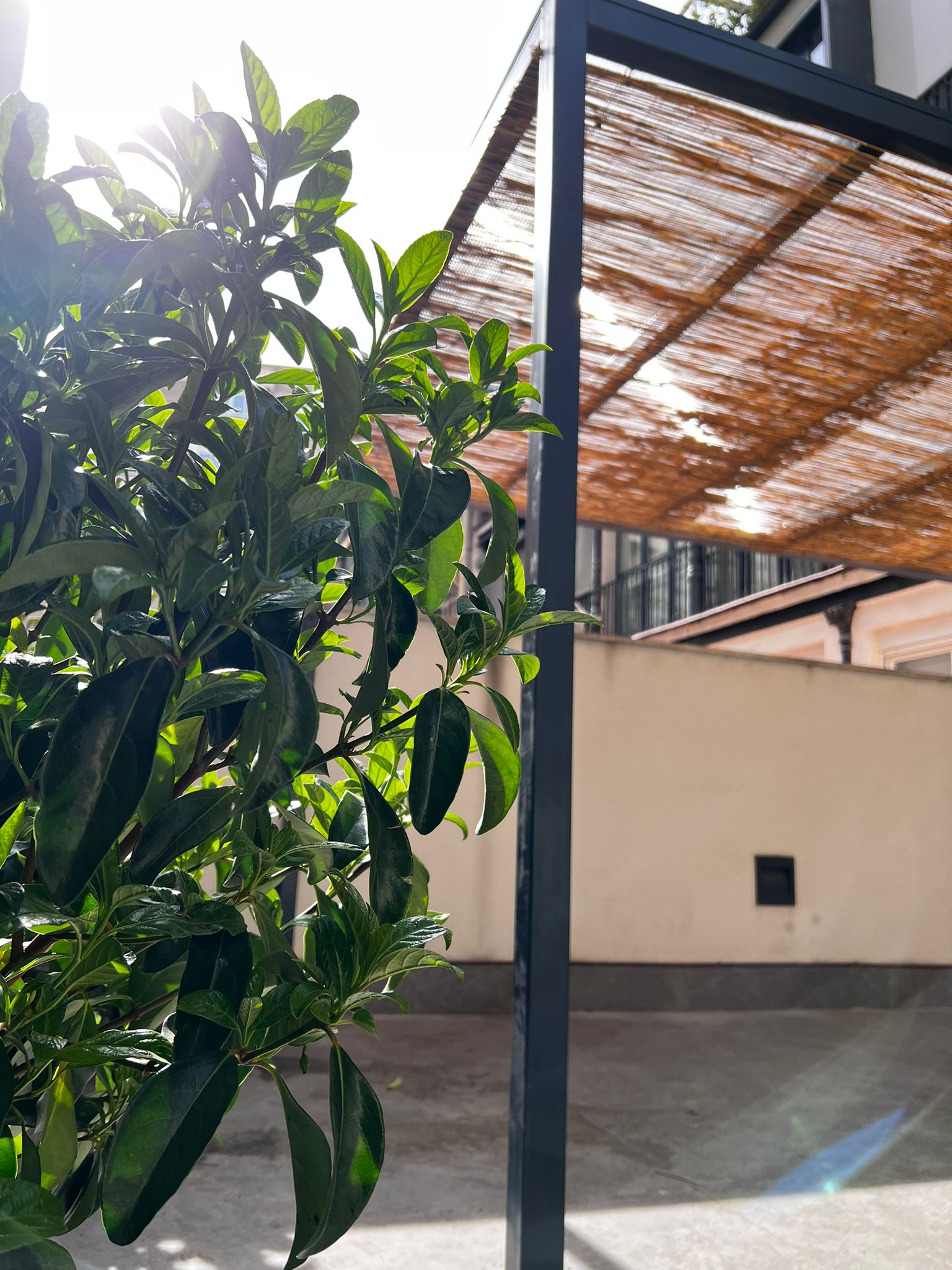 Pérgolas Bioclimáticas de Aluminio 4
